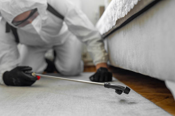 Professional Cockroach Control technician working in Maple Park, IL